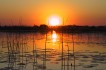 okavango_delta