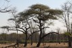 liwonde_national_park
