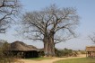 liwonde_national_park
