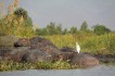 liwonde_national_park