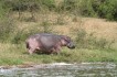 queen_elizabeth_national_park