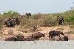 queen_elizabeth_national_park