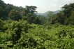bwindi