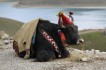 yak
